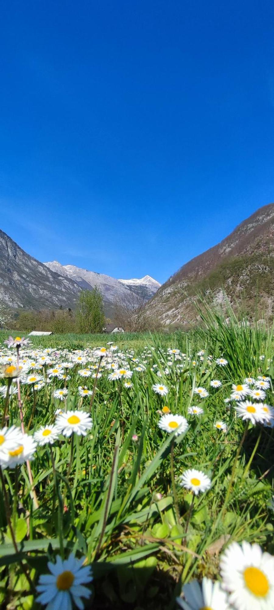 Apartma Soca Oasis Srpenica Luaran gambar