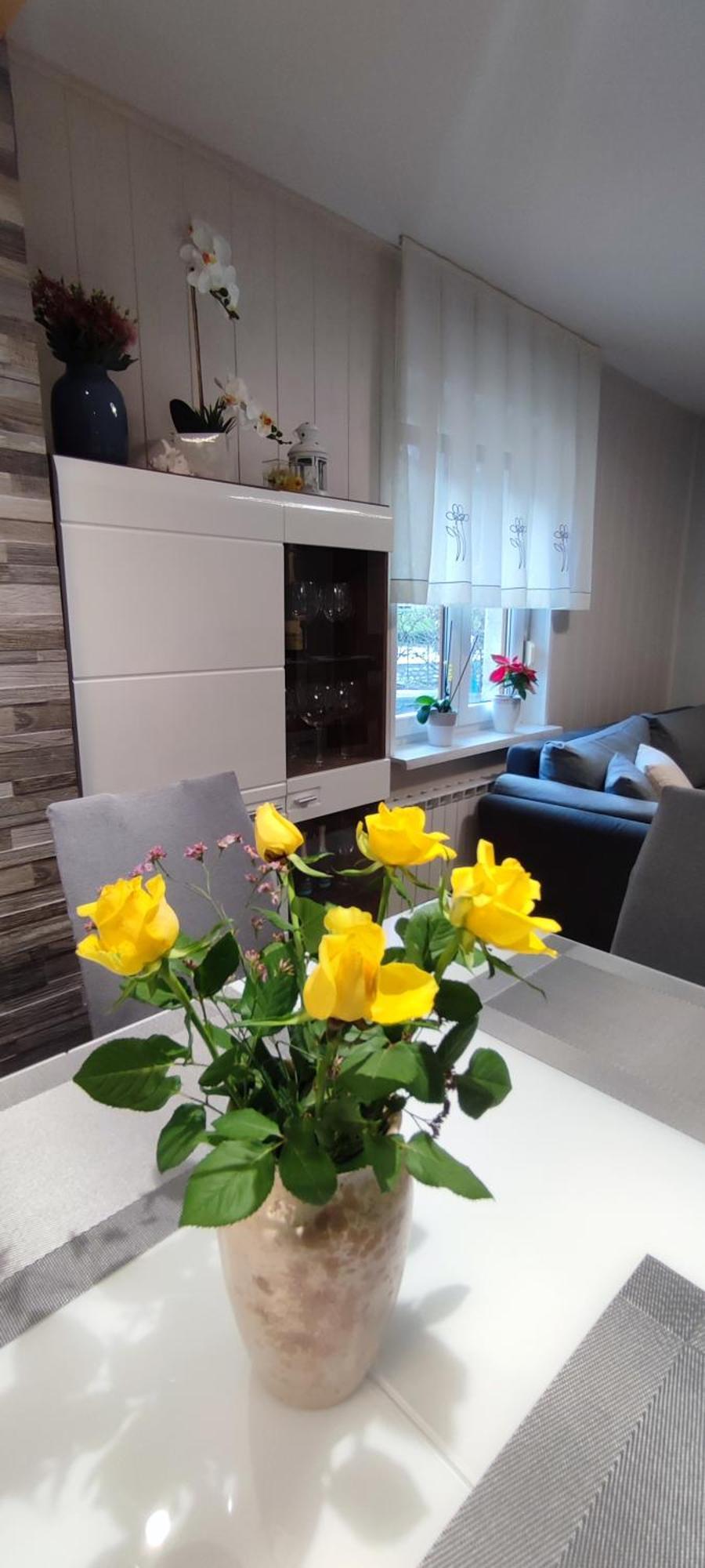 Apartma Soca Oasis Srpenica Luaran gambar